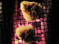 焼きおにぎり