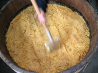 ファーストコンタクト